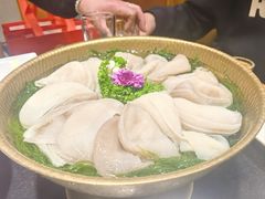 -一斗火锅·招财羊毛肚(北温泉九号店)