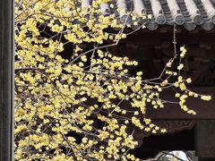 -钱王祠