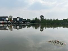 -白鹭湾湿地公园
