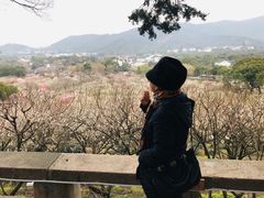 -香雪海