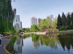 -团结湖公园