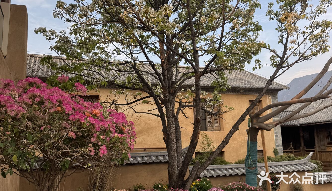 沙溪旅行氛围感Bistro✔️