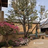 沙溪旅行氛围感Bistro✔️