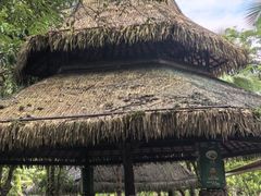 -呀诺达热带雨林