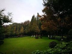 -上海市保健医疗中心(华东疗养院)