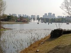 -武汉园博园(武汉自然博物馆)