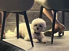 -NOVA CORE蔚来酒吧(新天地店)