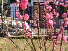 -老友咖啡馆(吉林财富购物广场店)