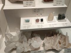 -天津自然博物馆