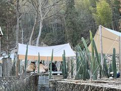 -MOJ coffee(瓯海泽雅水碓坑店)