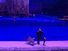 -华夏文旅海洋公园