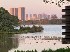 -海珠湖公园