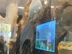 -下渚湖国家湿地公园科普馆