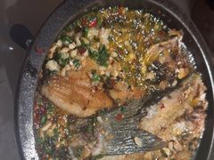 -聚鑫朋酸菜肥肠(文艺路口店)