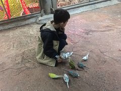 -正佳雨林生态植物园