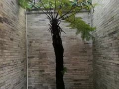 -国恩寺