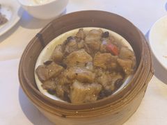 -食为先(Shark Fin)