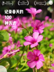 -玄武湖景区-情侣园游乐场