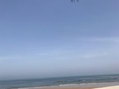 -日照海滨国家森林公园