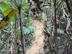 -阳台山森林公园