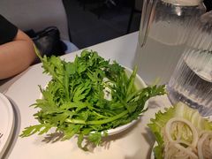 茼蒿菜-德林酸菜鱼火锅(南丹店)