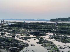 -傅家庄公园