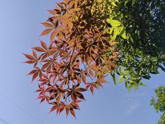 -韩湘水博园