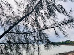 -深圳湾公园(南山区)