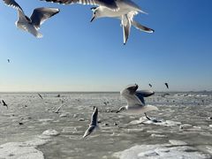 -老虎石海上公园