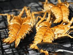 -辉记炭烧海鲜大排档·老字号(福田店)