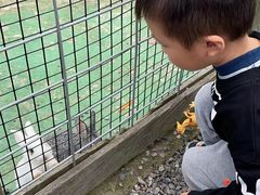 -前小桔亲子创意农场·草莓采摘·露营烧烤