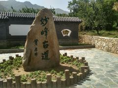 -阳台山自然风景区