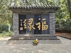 -爱尚幸福鲜花(上地实体店)
