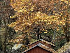 -秦岭终南山世界地质公园翠华山景区