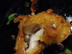 -靓蛙馆