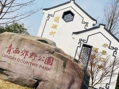-大莲湖农家乐(青西郊野公园店)
