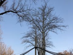 -中医药大学-老3楼餐厅