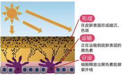 -北京爱育华医院-医疗美容科