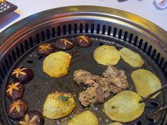 -杨记齐齐哈尔烤肉(总店)