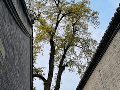 -白云观