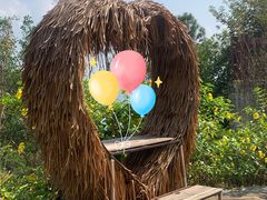 -广州白江湖森林公园