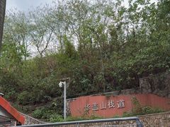 -佛山华盖山公园