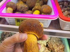 -菌海森林·非遗野生菌火锅(西山区滇池路摩根道店)
