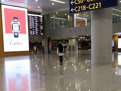 -上海浦东国际机场-T2航站楼
