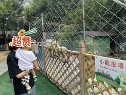 -萌宠亲子动物乐园(槐房万达店)