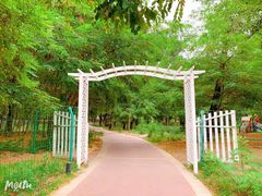 -林栖谷森林康养度假区
