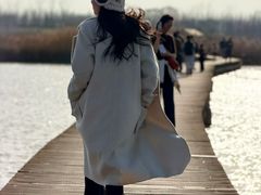 -盐城丹顶鹤湿地生态旅游区