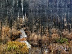 -莫尔道嘎国家森林公园