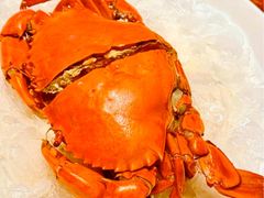 -红盔甲·小龙虾(定西路店)