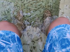 -春晖园度假酒店温泉